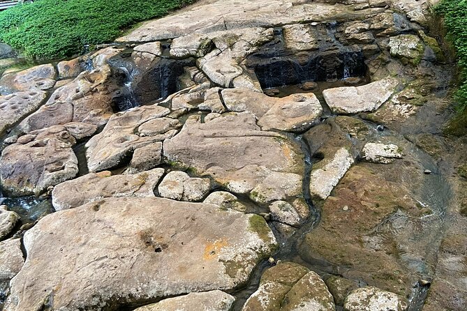 Private Guided Tour in The Archaeological Park - Accessibility and Medical Conditions