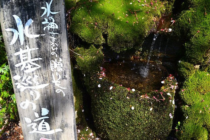 Private Guided Tour: Mt. Aso Volcano, Grasslands, Aso Shrine - Aso Shrine and Its History