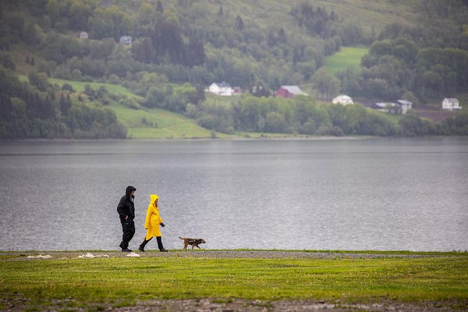 PRIVATE GUIDED TOUR: Norways Highlights – Viking Special, 11-12 Hours – SUMMER - Tour Features