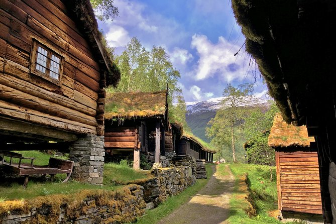 PRIVATE GUIDED TOUR: Norways Highlights – Viking Special, 11-12 Hours – SUMMER - Exploring the Fjords