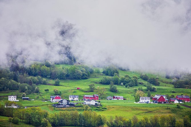 PRIVATE GUIDED TOUR: Norways Highlights – Viking Special, 11-12 Hours – WINTER - Indulging in Local Cuisine