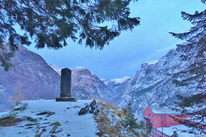 PRIVATE GUIDED TOUR: Norways Highlights – Viking Special, 11-12 Hours – WINTER - Accessibility and Participation