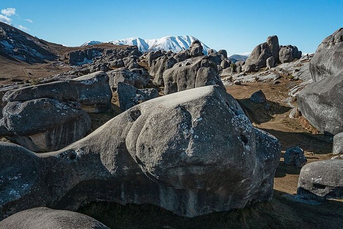 Private Guided Tour of Inland Canterbury & Castle Hill Rocks - Meeting and Pickup