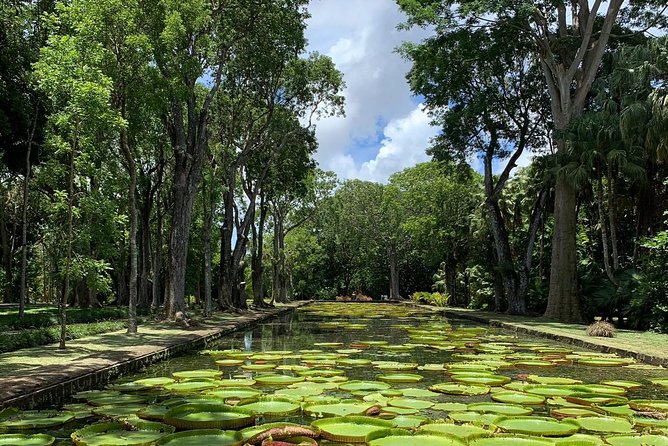 Private Guided Tour of Northern Mauritius With Shopping in Port Louis - Inclusions and Exclusions