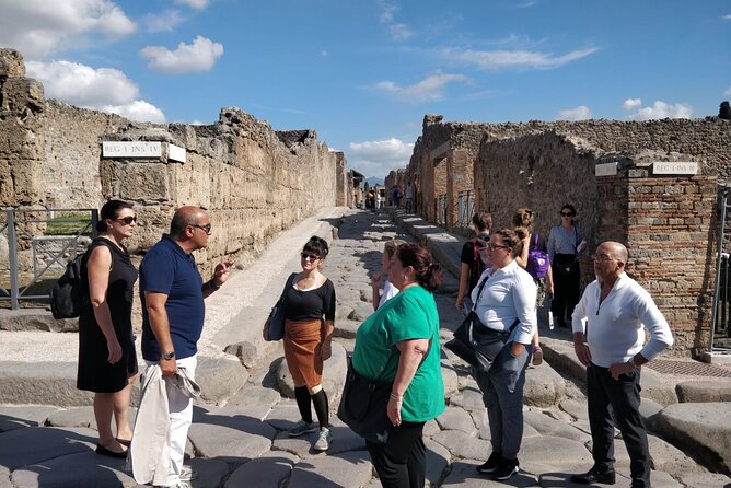 Private Guided Tour of Pompei - Tour Highlights