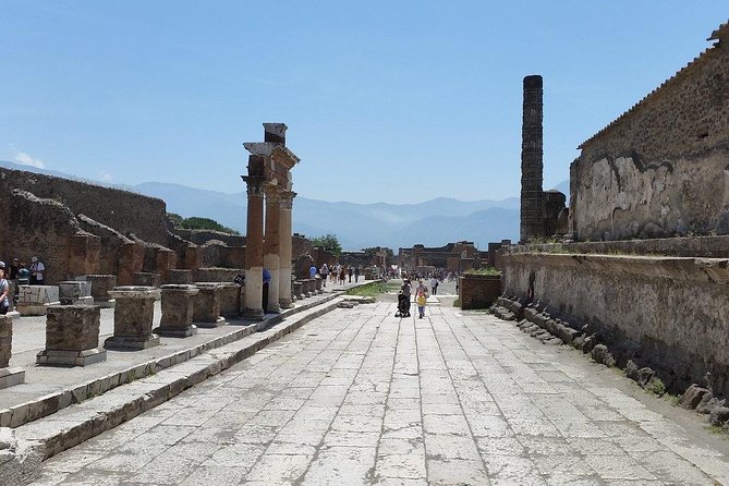 Private Guided Tour of Pompeii and Herculaneum - Accessibility and Participant Information