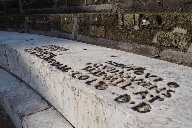 Private Guided Tour of Pompeii and Herculaneum - Reviews and Guide Experience