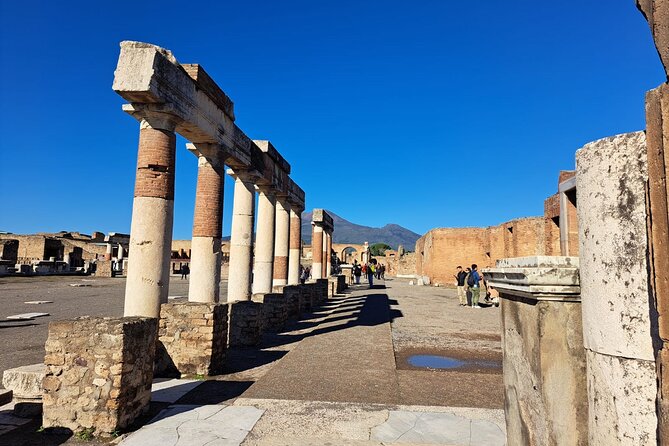 Private Guided Tour of Pompeii With Lunch in Winery - Key Points