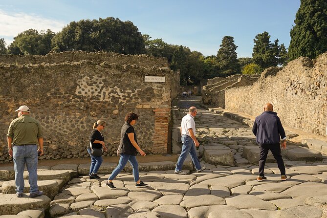 Private Guided Tour of Pompeii With Lunch in Winery - Meeting and Pickup
