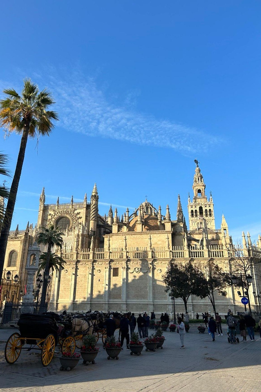 Private Guided Tour of Seville From Faro - Itinerary and Highlights
