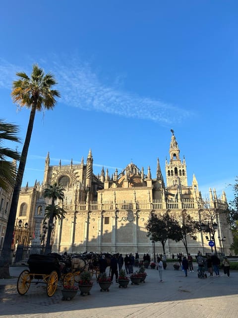 Private Guided Tour of Seville From Faro - Important Information and Requirements