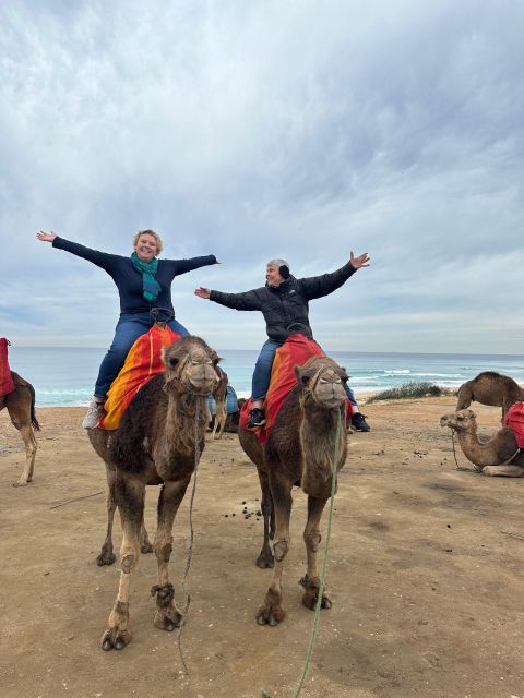 Private Guided Tour of Tangier From Marbella With Said. - Ferry Crossing the Strait
