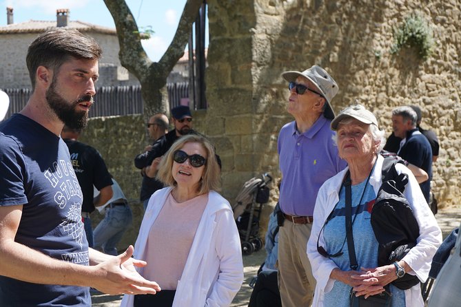 Private Guided Tour of the City of Carcassonne - Tour Details and Accessibility