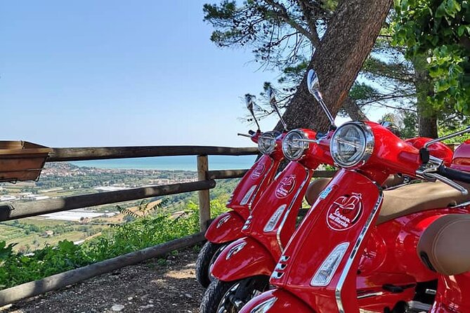 Private Guided Tour of the Marches on Vespa in the Aso Valley - Meeting Information