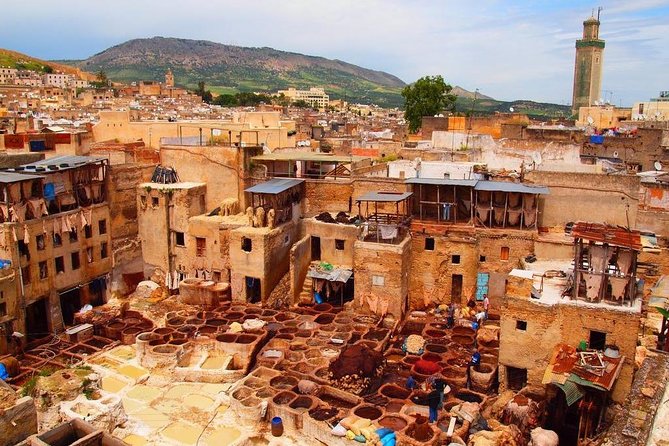 Private Guided Tour of the Medina of Fez and Its Surroundings - Language Support and Accessibility
