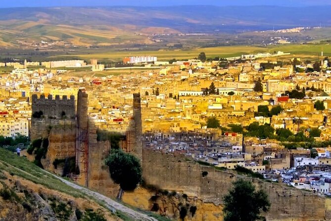Private Guided Tour of the Medina of Fez and Its Surroundings - Booking and Pricing Information