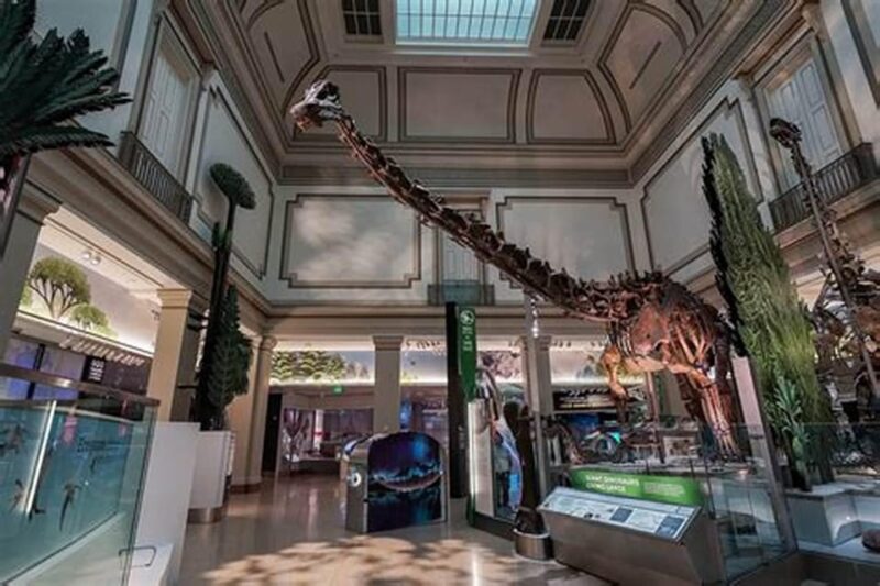 Private Guided Tour of The Natural History Museum - Exploring Biodiversity