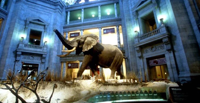Private Guided Tour of The Natural History Museum - Booking Your Adventure