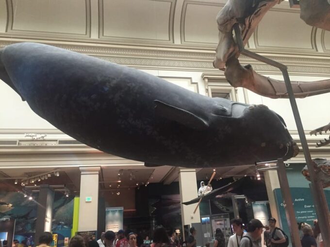 Private Guided Tour of The Natural History Museum - Accessibility and Flexibility