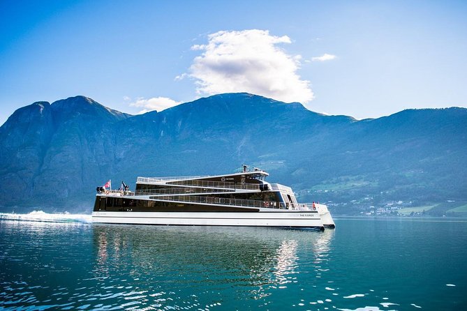 Private Guided Tour - Premium Nærøyfjord Cruise and Flåm Railway - Guest Reviews and Feedback