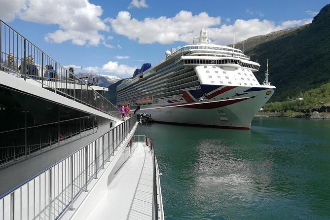 Private Guided Tour - Premium Nærøyfjord Cruise and Flåm Railway - Scenic Experiences