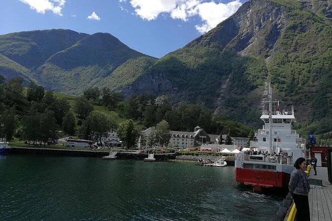 Private Guided Tour - Premium Nærøyfjord Cruise and Flåm Railway - Local Guide Insights