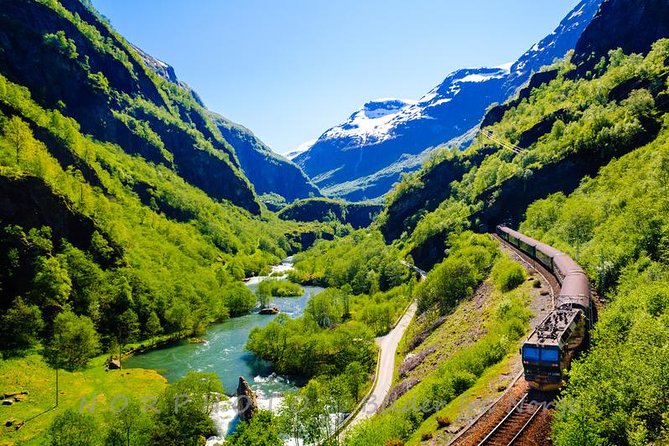 Private Guided Tour - Premium Nærøyfjord Cruise and Flåm Railway - Accessibility Information