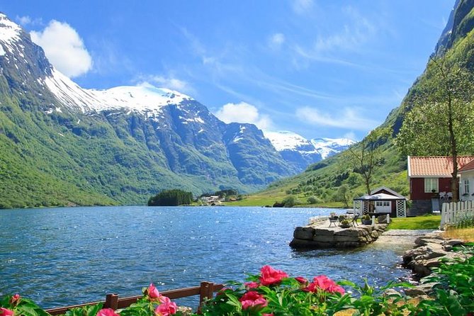 Private Guided Tour - Premium Nærøyfjord Cruise and Flåm Railway - Cancellation Policy