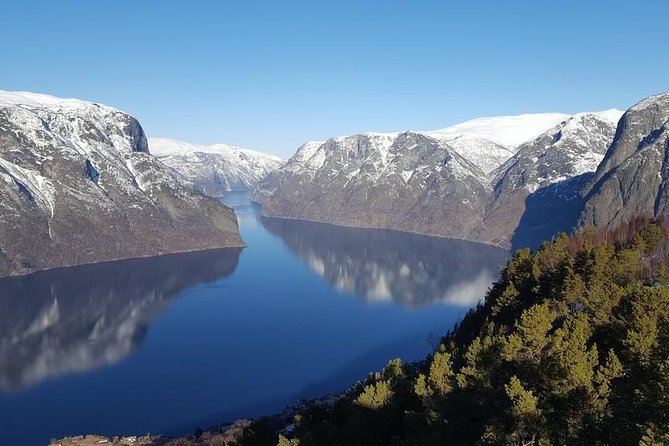 Private Guided Tour - Premium Nærøyfjord Cruise and Flåm Railway - Pricing and Availability