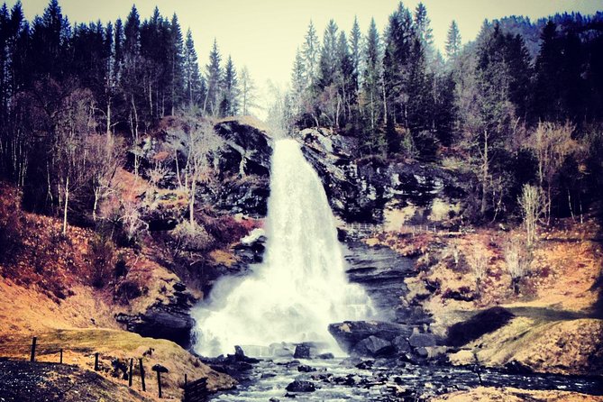 PRIVATE GUIDED Tour: Queen of the Fjords - TOUR From Bergen, 6 Hours - Review Summary