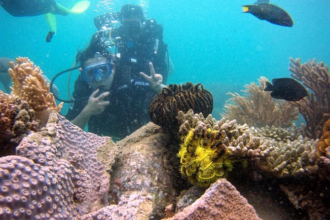 Private Guided Tour Scuba Diving At Marine Protected Area Included Lunch - Dive Site Selection