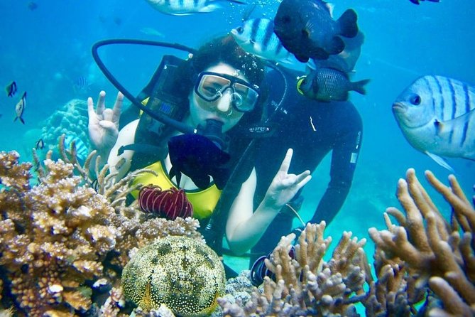 Private Guided Tour Scuba Diving At Marine Protected Area Included Lunch - Underwater Photography