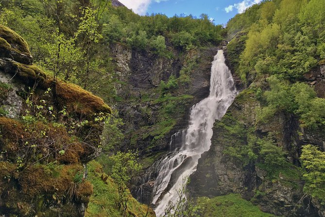 PRIVATE GUIDED TOUR: the Heart of Norway – Viking Special, 8-9 Hours – SUMMER - Experiencing Authentic Norwegian Cuisine