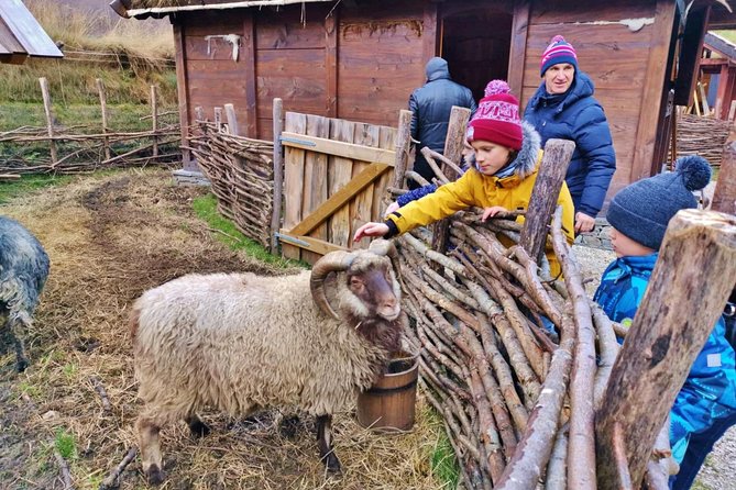 PRIVATE GUIDED TOUR: the Heart of Norway – Viking Special, 8-9 Hours – WINTER - Flexibility and Personalization