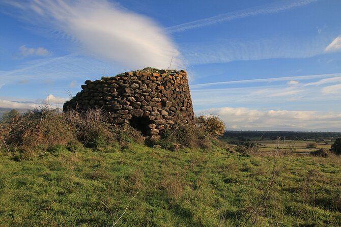 Private Guided Tour to Borore in the Bronze Age - Private Tour Highlights