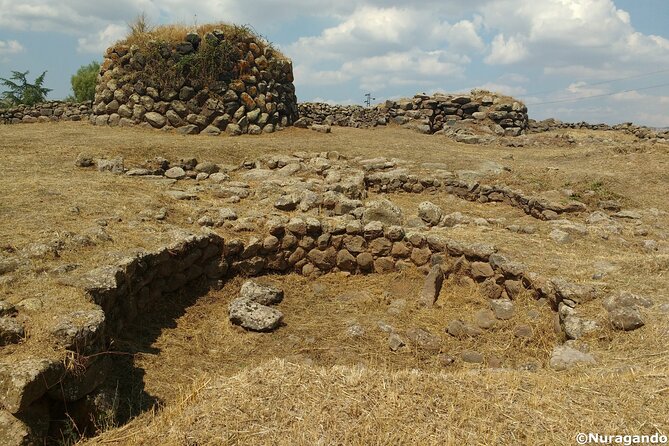 Private Guided Tour to Borore in the Bronze Age - Meeting and Transportation Details
