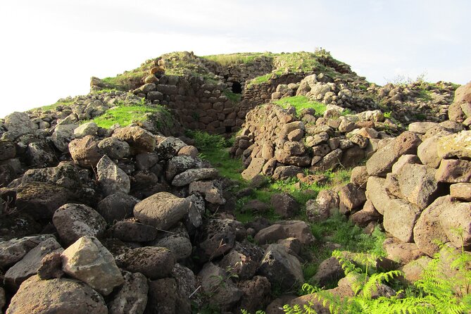 Private Guided Tour to Borore in the Bronze Age - Discover Sardinias Captivating Past