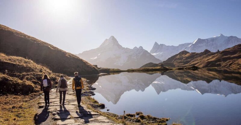 Private Guided Tour to Grindelwald First From Zurich - Key Points