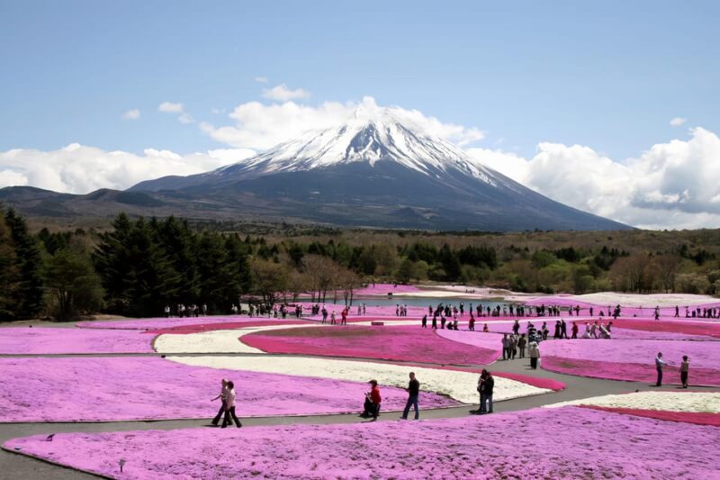 Private Guided Tour To Mount Fuji With Roundtrip Transfer. - Key Points