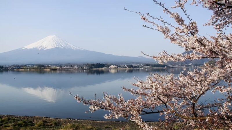 Private Guided Tour To Mount Fuji With Roundtrip Transfer. - Fuji Sengen Jinja Shrine
