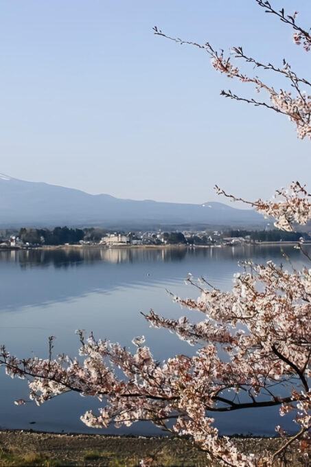 Private Guided Tour To Mount Fuji With Roundtrip Transfer. - Booking and Availability