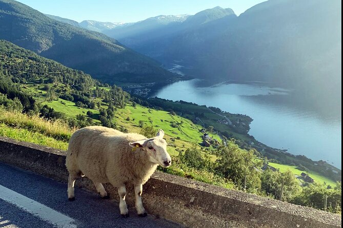 Private Guided Tour to Oslo Nærøyfjord Cruise and Flåm Railway - Itinerary and Activities