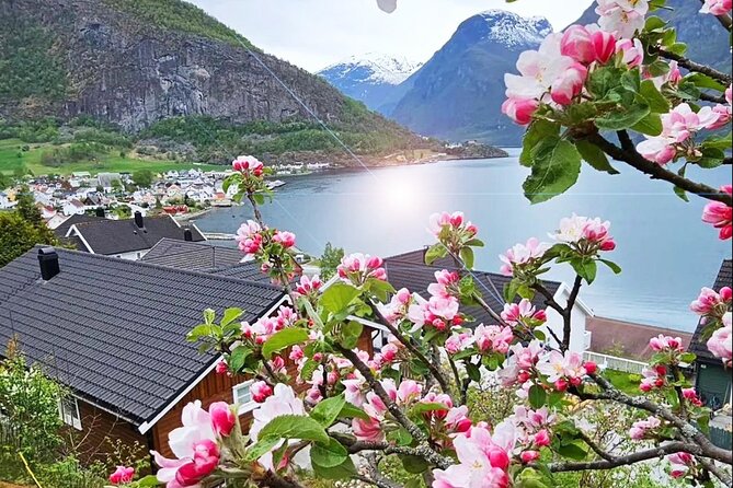 Private Guided Tour to Oslo Nærøyfjord Cruise and Flåm Railway - Breathtaking Fjord Cruise