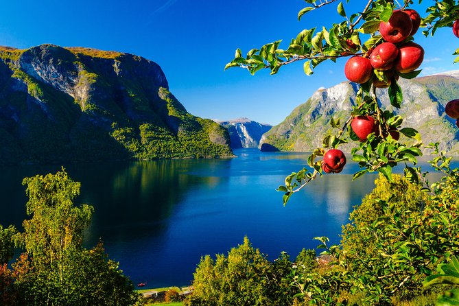 Private Guided Tour to Oslo - Nærøyfjord Cruise and Flåm Railway - Scenic Viewpoint at Stegastein