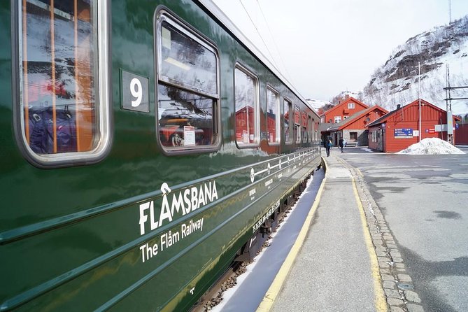 Private Guided Tour to Oslo - Nærøyfjord Cruise & Flåm Railway - Accessibility and Participation