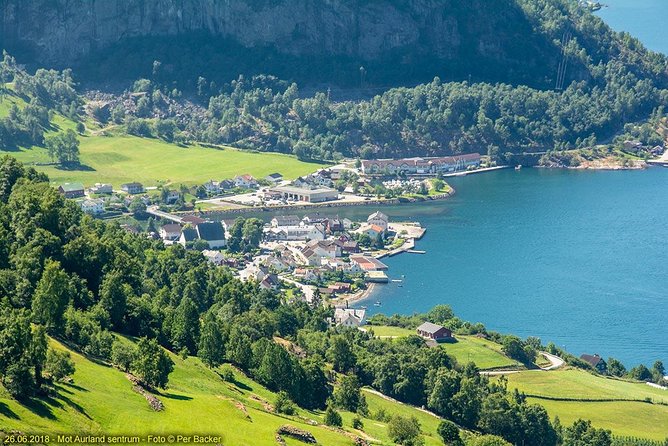 Private Guided Tour to Oslo - Nærøyfjord Cruise & Flåm Railway - What to Expect