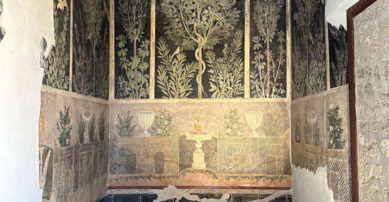 Private Guided Tour to Pompeii Excavations - Meeting Point and Itinerary