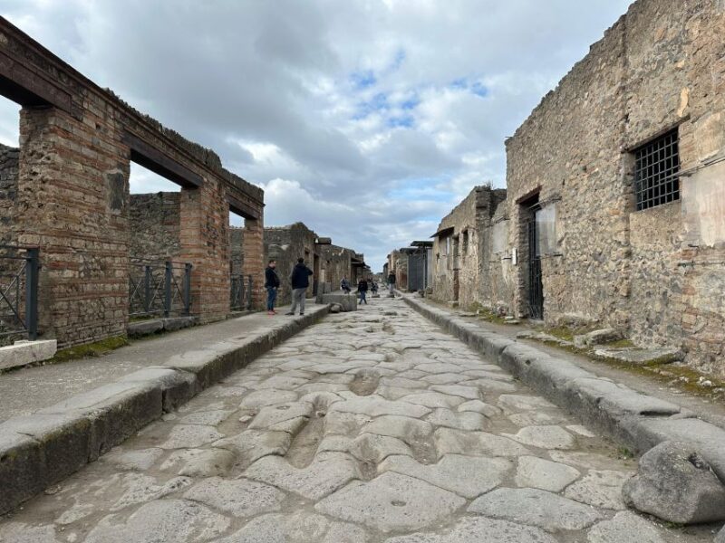 Private Guided Tour to Pompeii Excavations - Entry Tickets and Inclusions