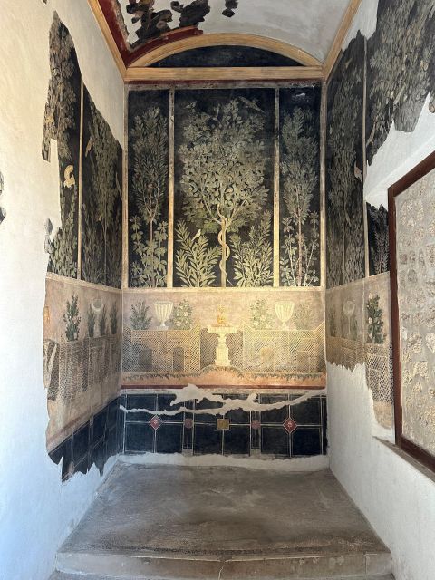 Private Guided Tour to Pompeii Excavations - Language Options