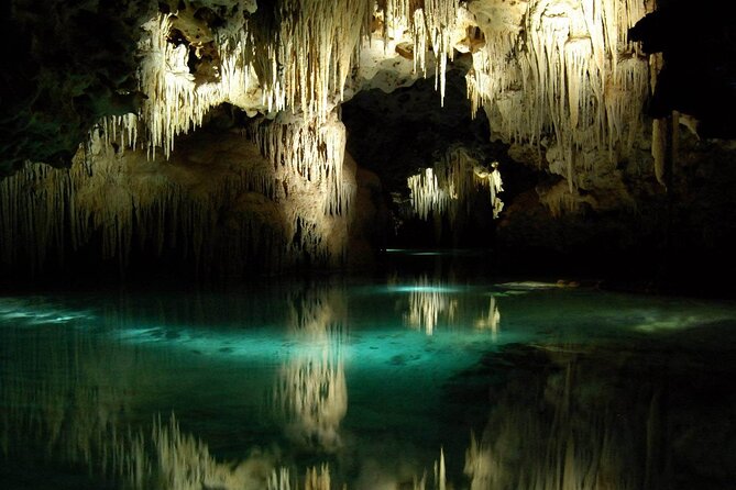 Private Guided Tour To Tulum Ruins, Snorkel With Turtles & Tacos - Inclusions